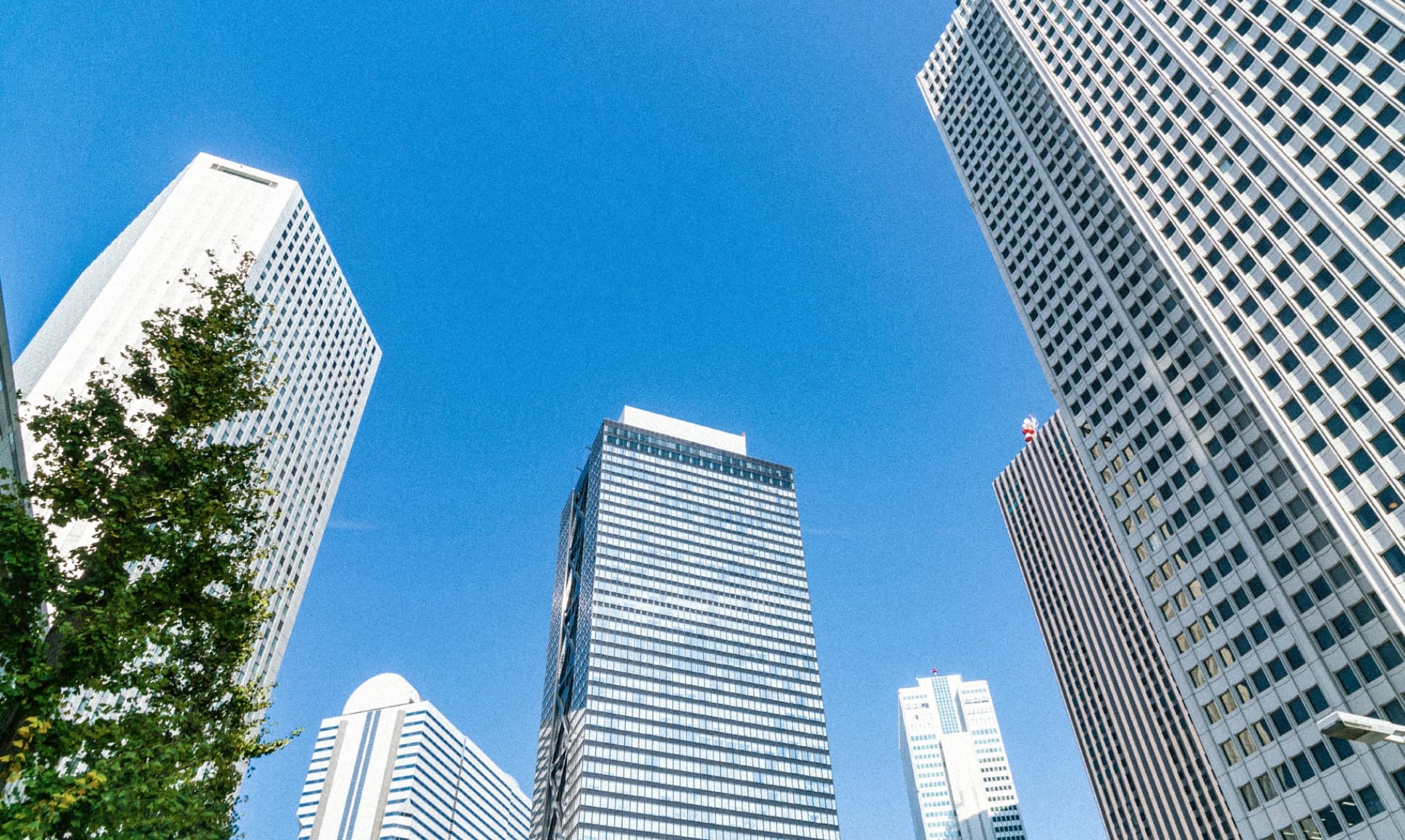 主な担当現場